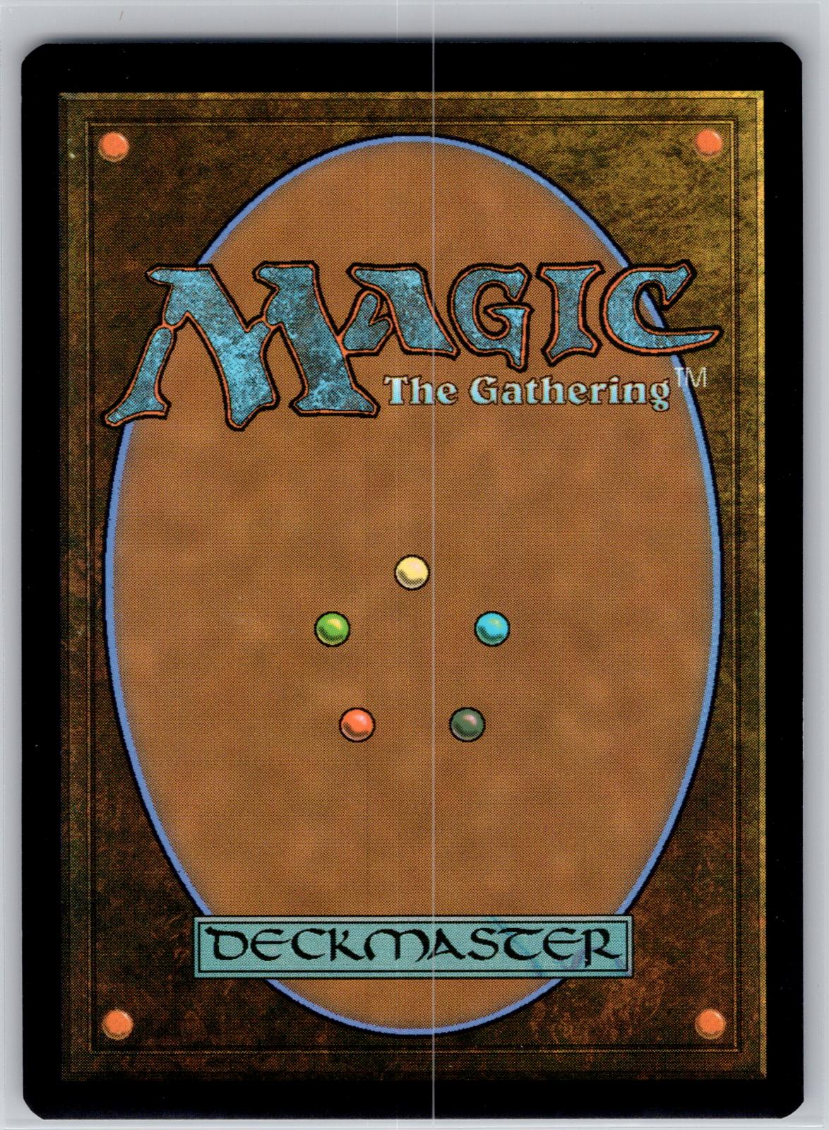 Forest (0195) Teenage Mutant Ninja Turtles Magic: The Gathering Near Mint
