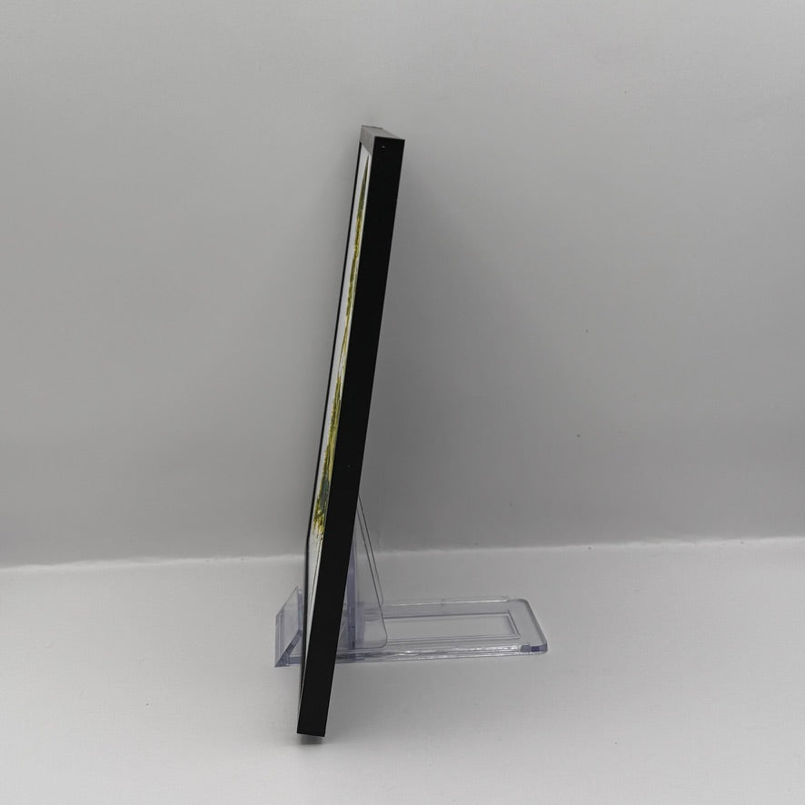 Link Silhouette Filament Painting (Framed)