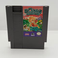Bonk's Adventure - NES