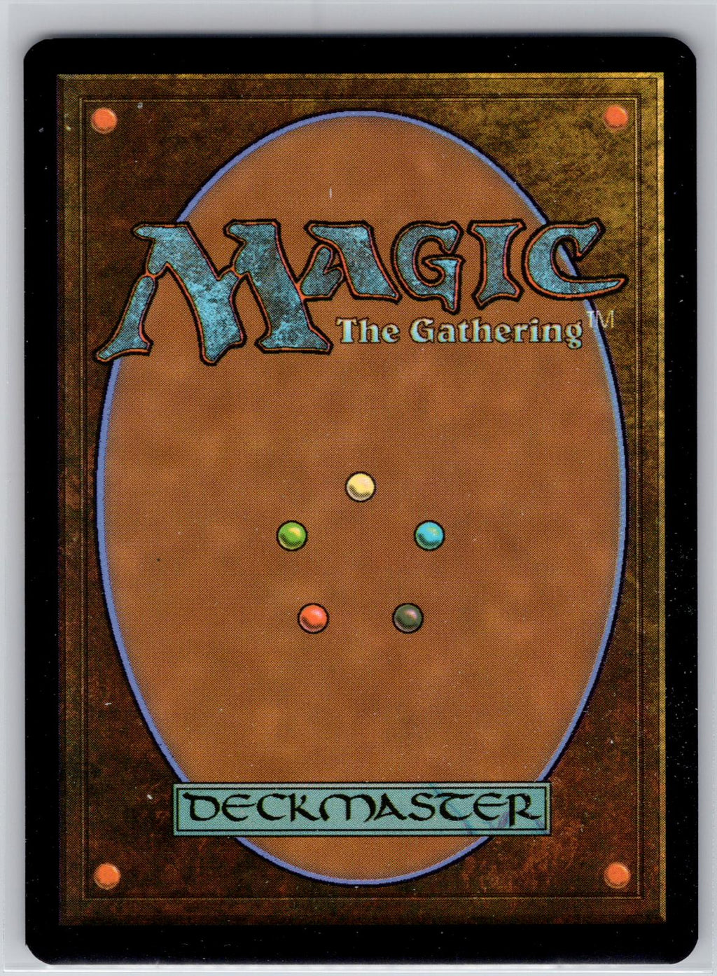 Spirit of Resilience (Extended Art) Commander: Secrets of Strixhaven M:TG NM