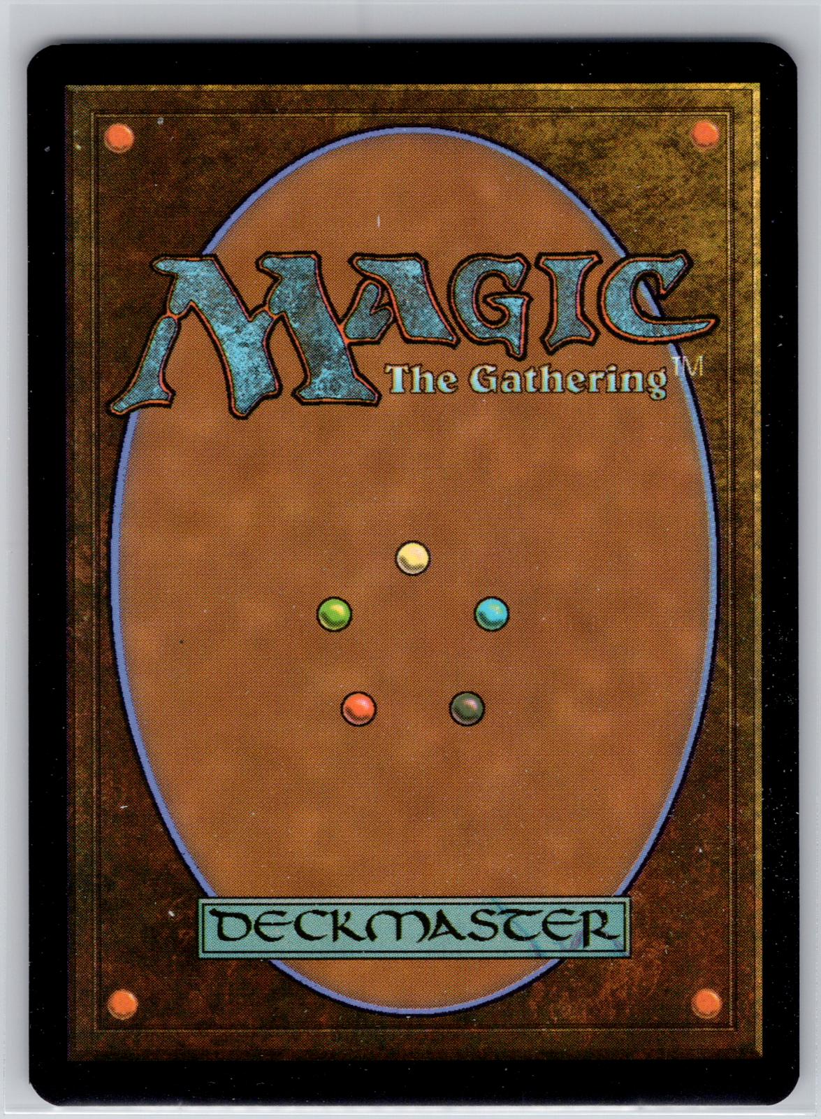 Spirit of Resilience (Extended Art) Commander: Secrets of Strixhaven M:TG NM