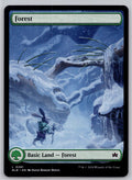 Forest (0281) Bloomburrow Magic: The Gathering Near Mint