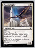 Tazeem Raptor Zendikar Rising Magic: The Gathering Near Mint