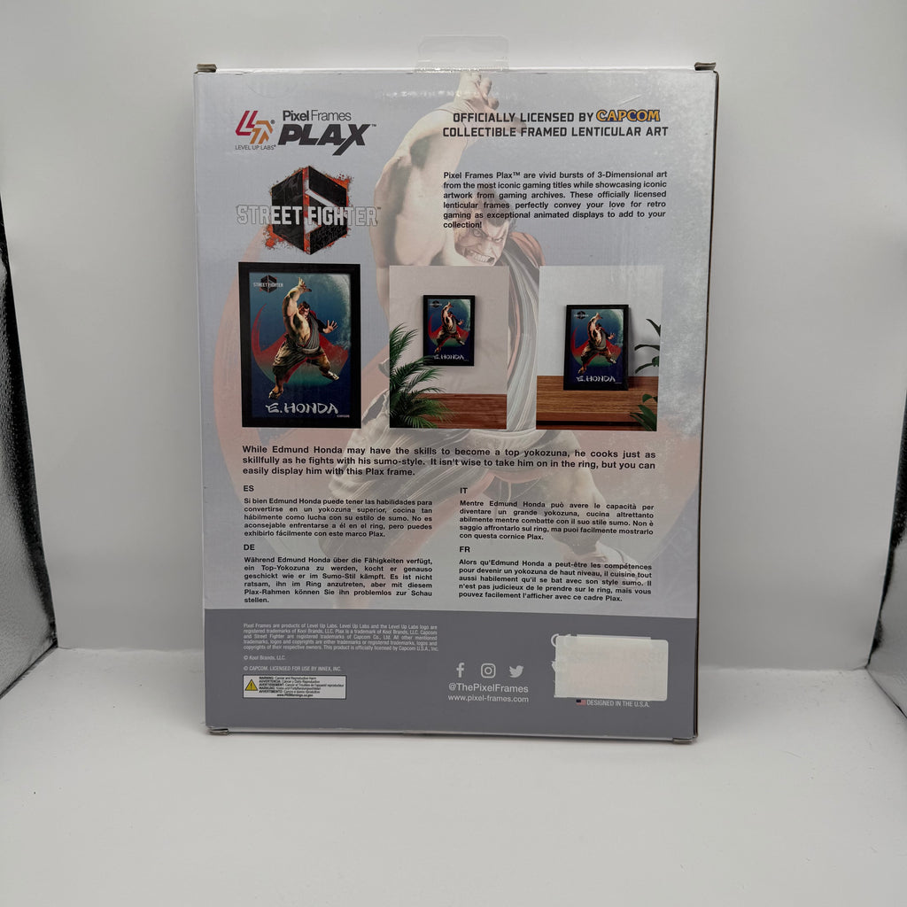 Street Fighter 6: E. Honda Framed Lenticular Art