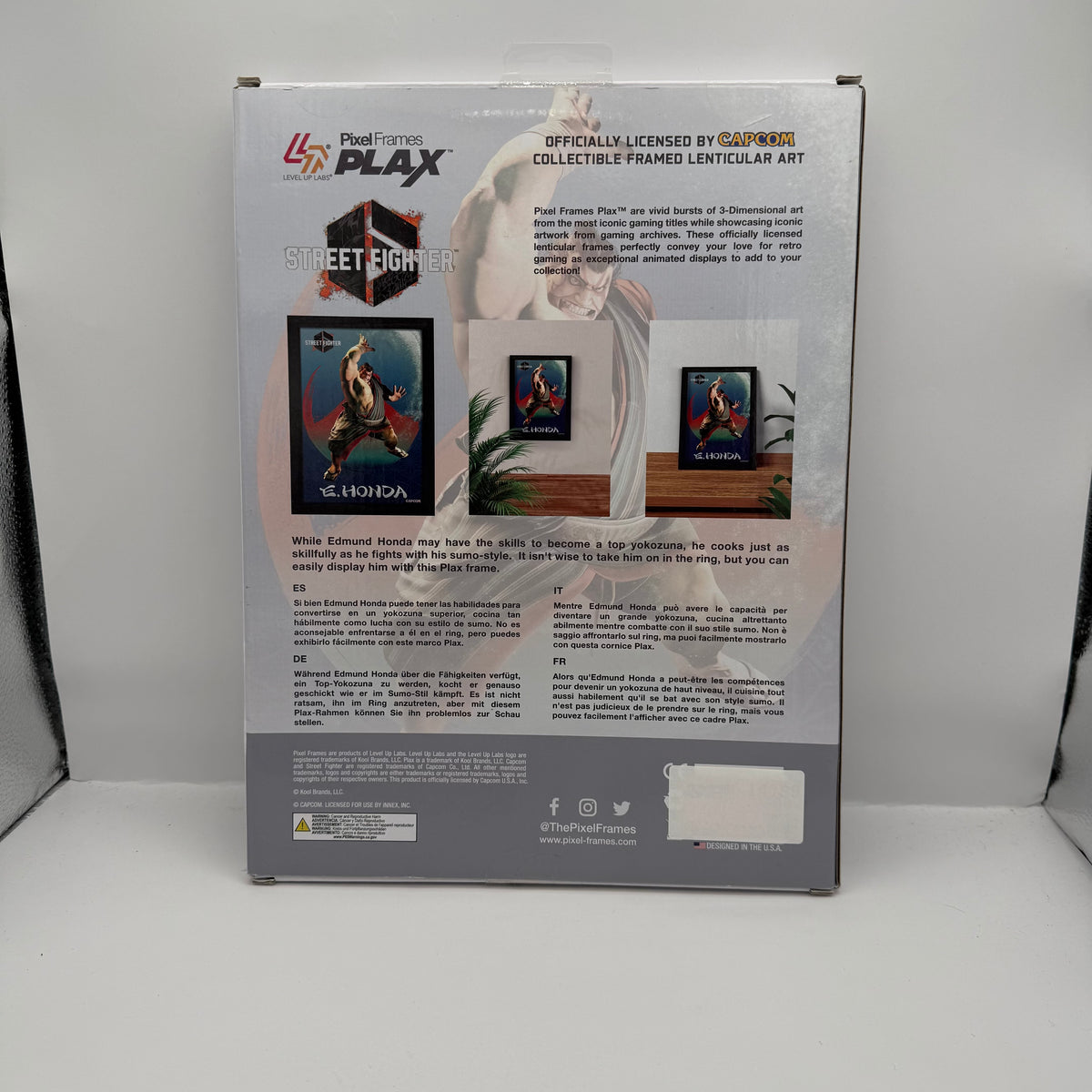 Street Fighter 6: E. Honda Framed Lenticular Art