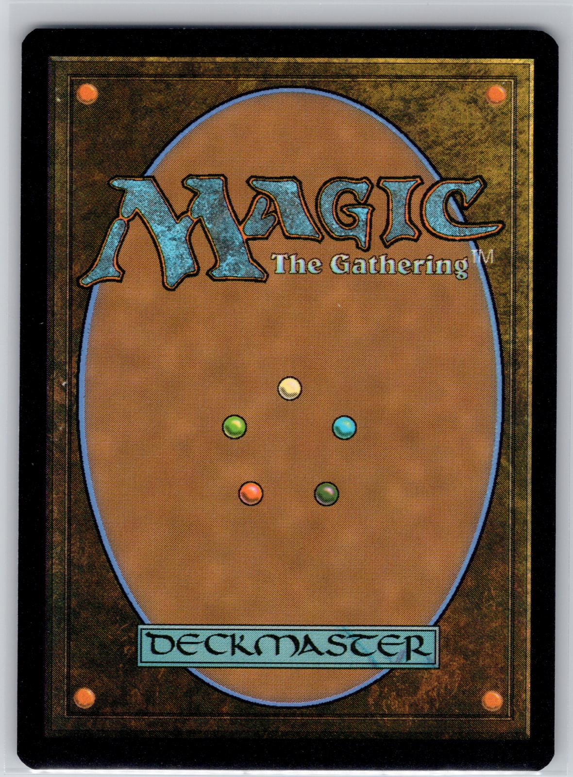 Forest (0271) Secrets of Strixhaven Magic: The Gathering Foil Near Mint