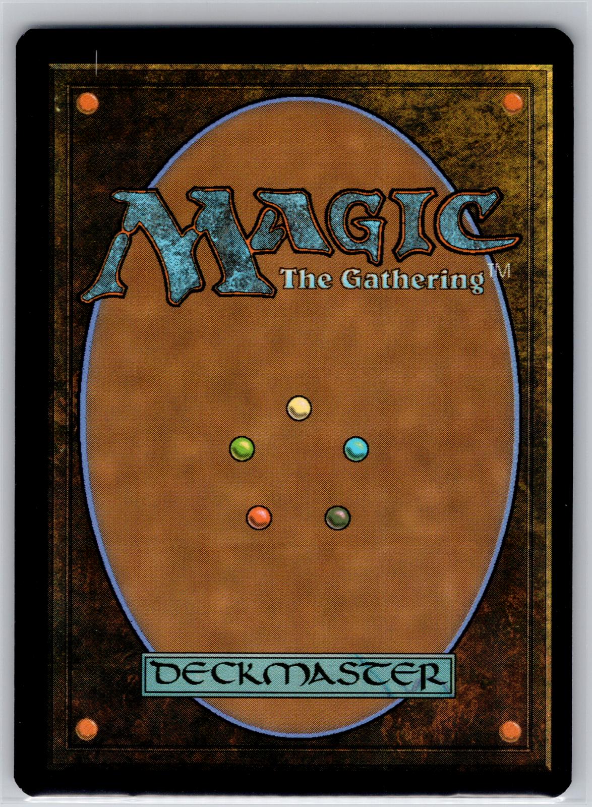 Plains (Borderless) (0382) Reality Fracture Magic: The Gathering Foil Near Mint