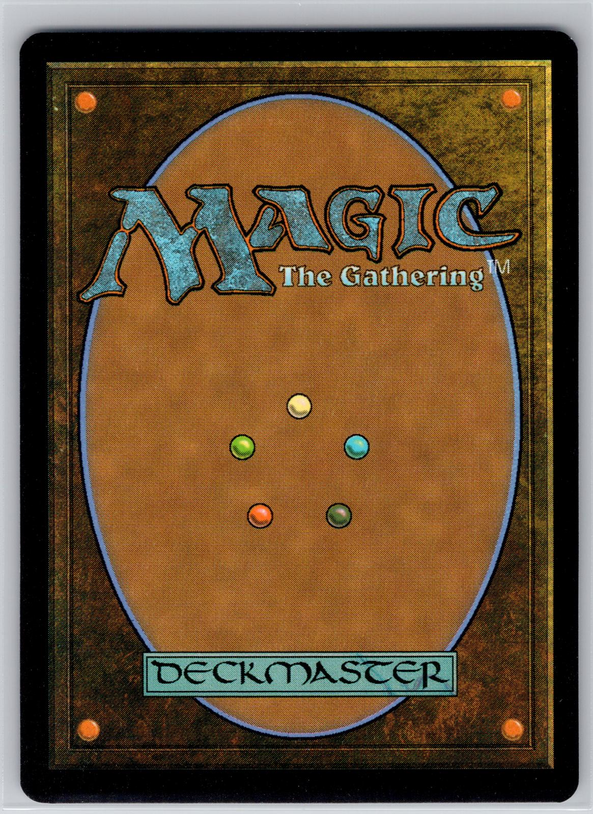 Forest (0198) The Hobbit Magic: The Gathering Near Mint