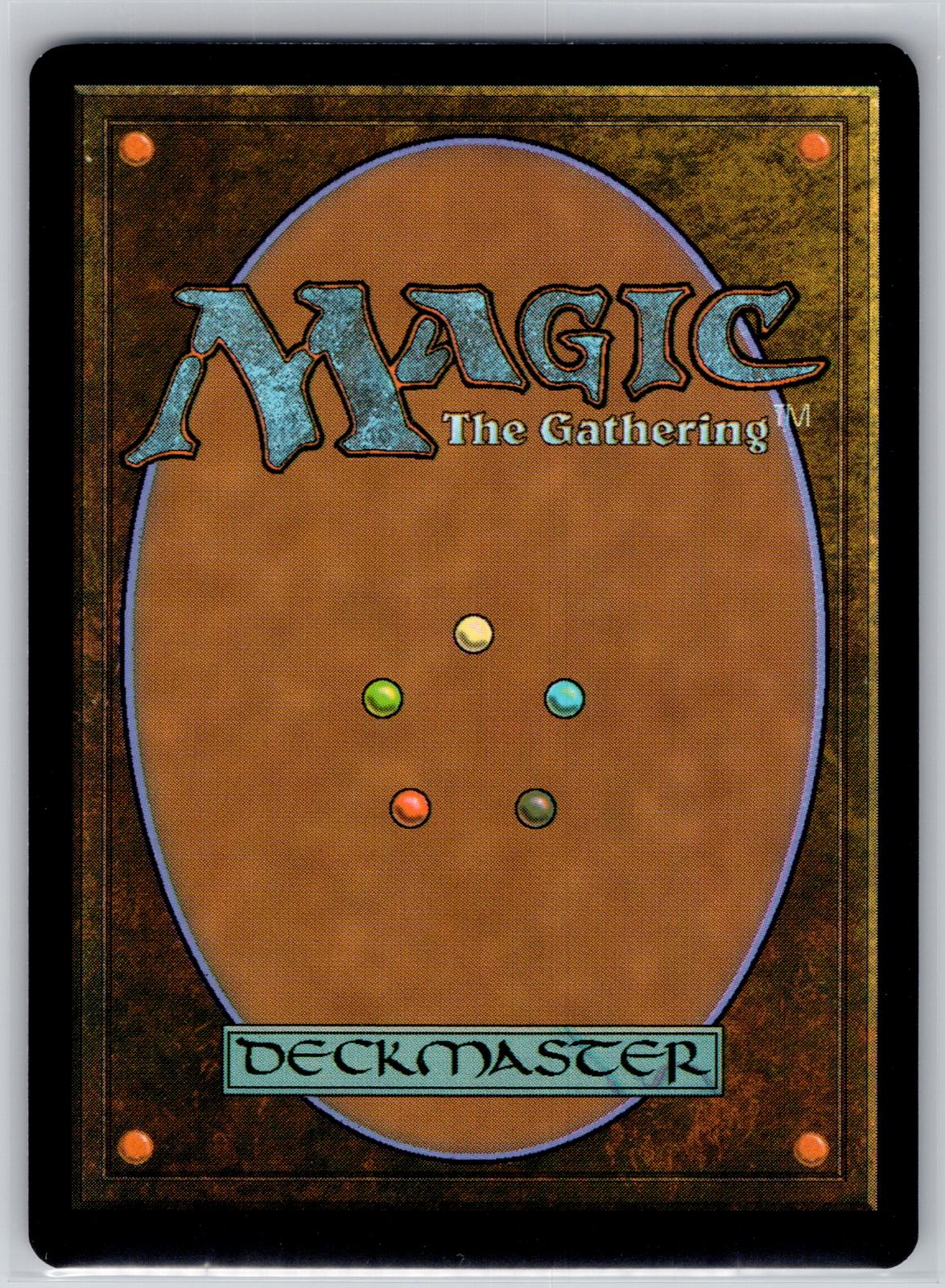 Forest (0193) The Hobbit Magic: The Gathering Foil Near Mint