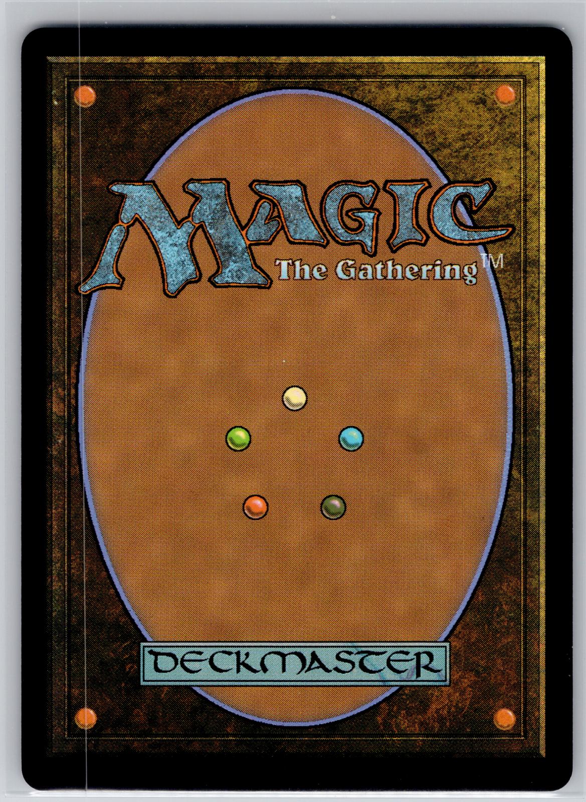 Foggy Swamp Hunters Avatar: The Last Airbender Magic: The Gathering Foil NM