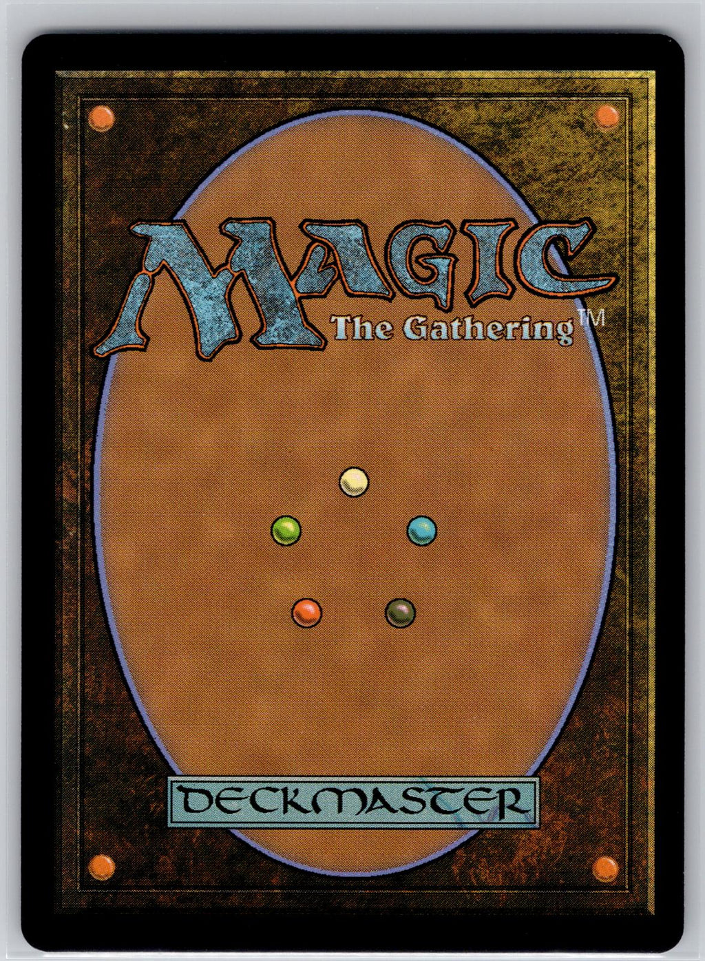 The Lion-Turtle (Borderless) Avatar: The Last Airbender Magic: The Gathering NM