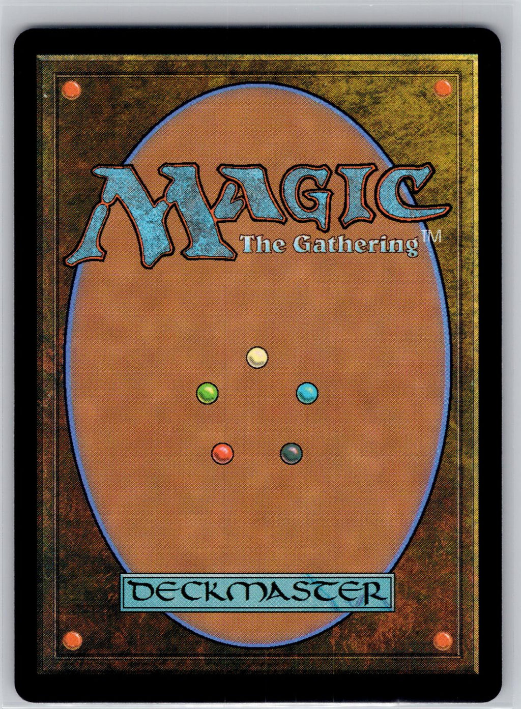 Swamp (274) - Full Art Zendikar Rising Magic: The Gathering Near Mint