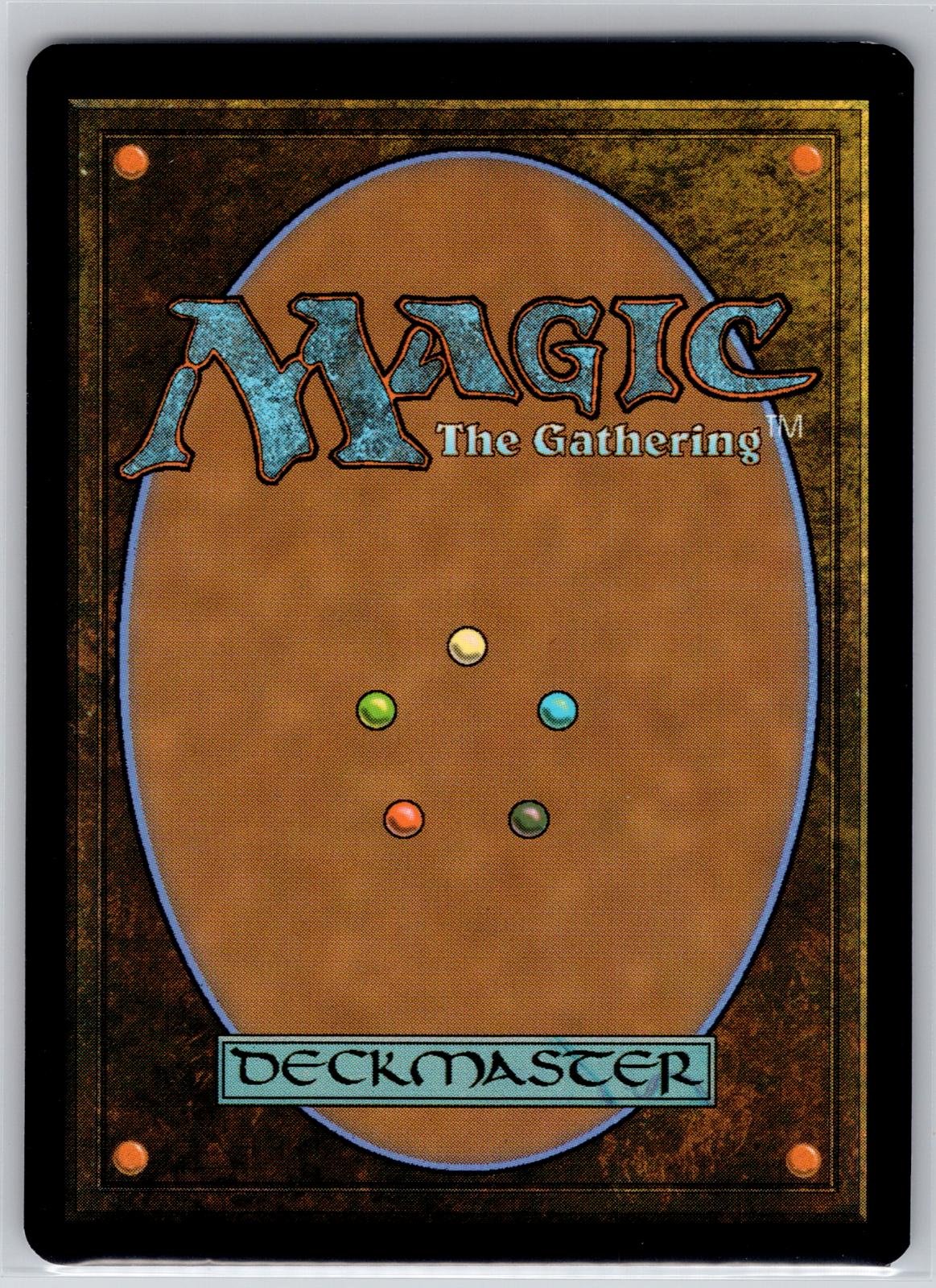 Plains (Borderless) (0384) Reality Fracture Magic: The Gathering Foil Near Mint