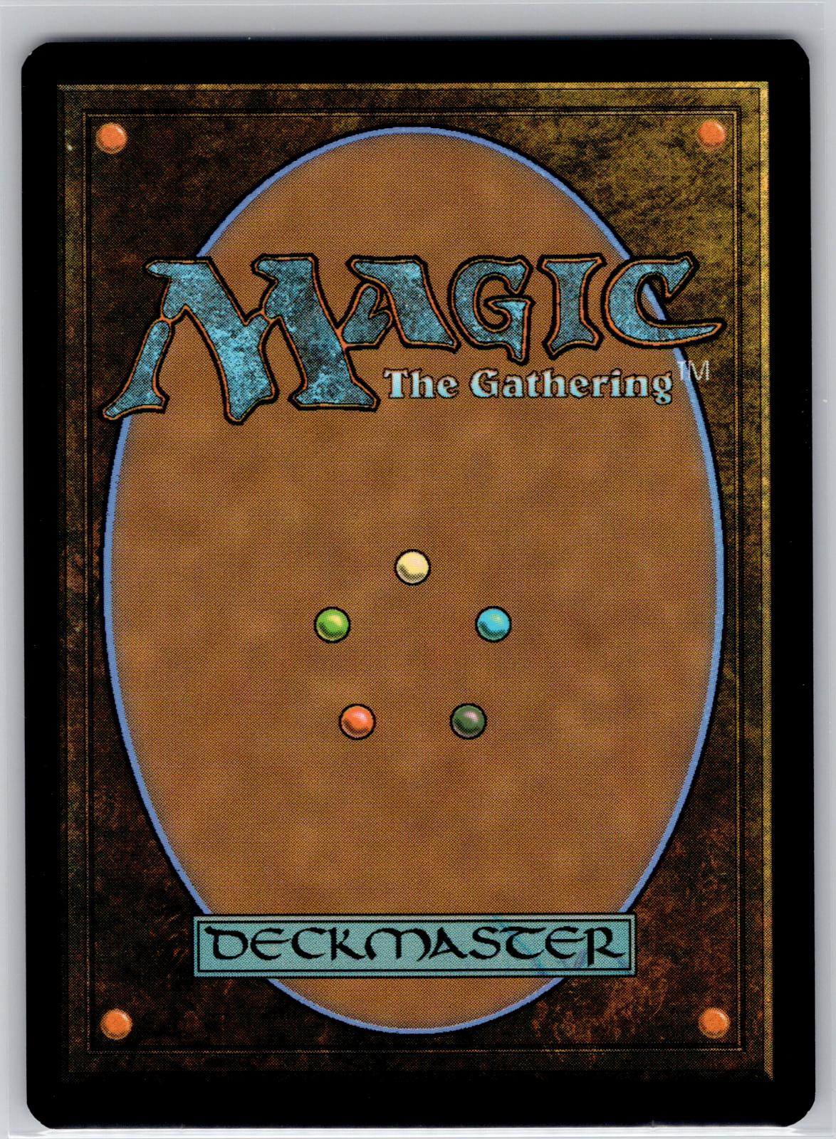 Chief Warg's Company (Borderless) The Hobbit Magic: The Gathering Near Mint